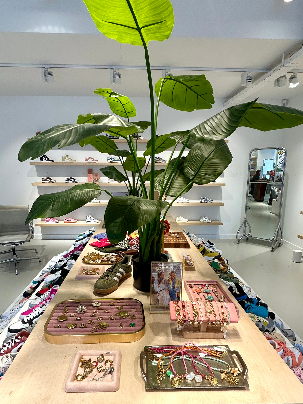 ClassicBasics, Barneveld