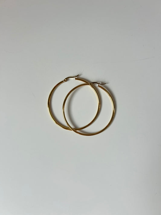 Hula Hoop Earrings