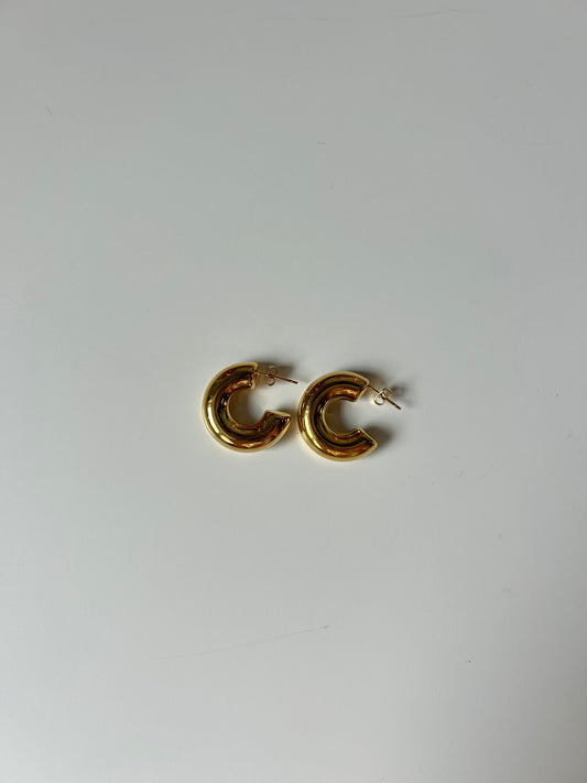 Bold Hoop Earrings