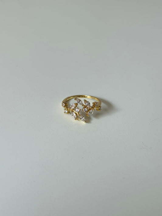 Maxima Ring
